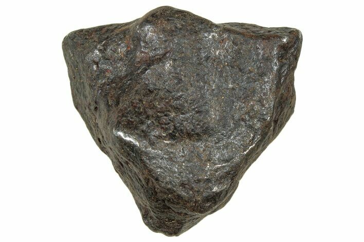 Canyon Diablo Iron Meteorite ( g) - Arizona #303491